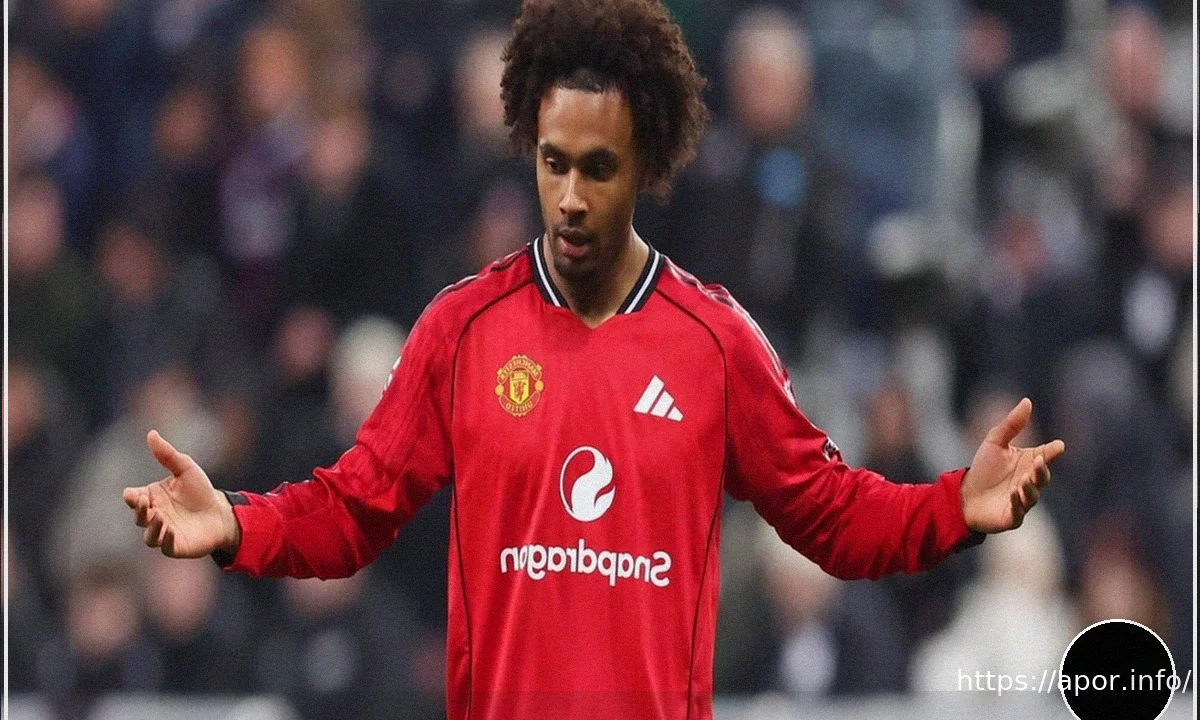 Mídia inglesa convencida: Zirkzee deixará o Manchester United